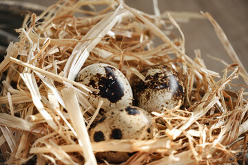 Close up quail eggs on white wooden straw nest table.
