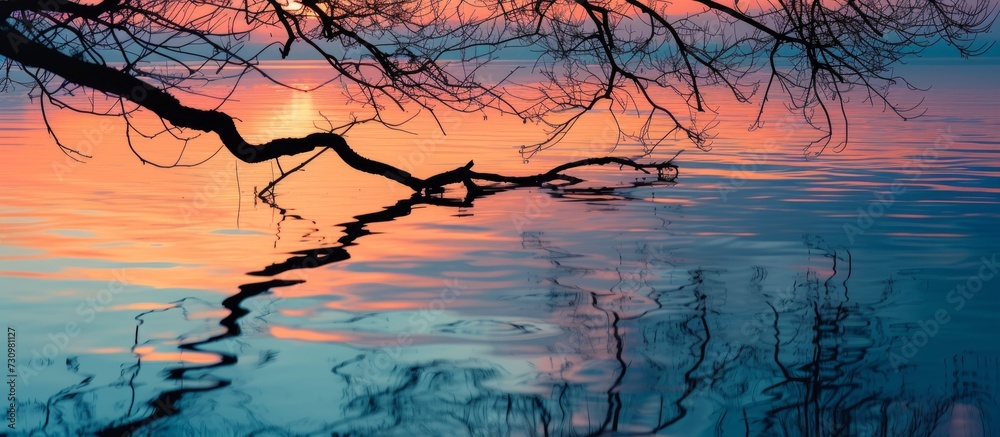 Sticker sunset reflecting colorful sky in water with silhouetted tree branches.