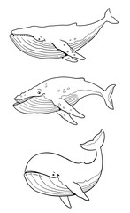 Set with three funny whales to color in. Template for a coloring book with funny animals. Coloring template for kids.	