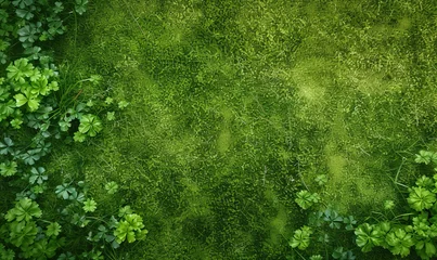 Gardinen Natural organic texture background, green field on bright sunny day in summer. Nature textures. Top-down aerial drone view © Goodwave Studio