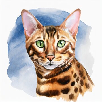 Watercolor illustration of Bengal cat isolated on white.