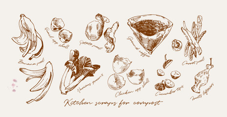 Hand drawn illustration of food scraps suitable for composting. Reducing waste concept - 730983161