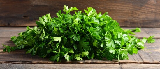 A pile of aromatic parsley sits on a wooden backdrop.