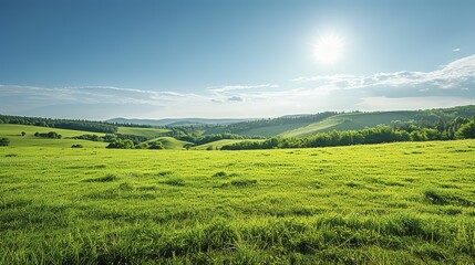Beautiful countryside in Ukraine Europe Summertime nature photo of lush green pastures and clear blue sky Explore Earth s beauty Copy space image Place for adding text or design - obrazy, fototapety, plakaty