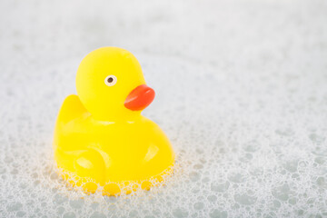 Yellow rubber duck toy floating in water