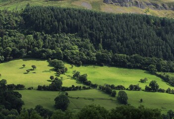 Landscape at Glencar, County Leitrim, Ireland featuring hillside fields of farmland pastures bordered by trees and mountain cliff face in summertime 