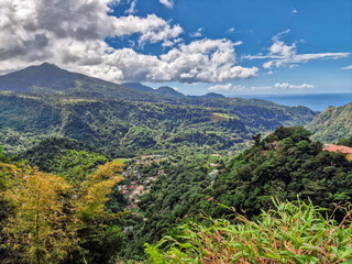 Fototapeta na wymiar The Caribbean's natural environment landscape