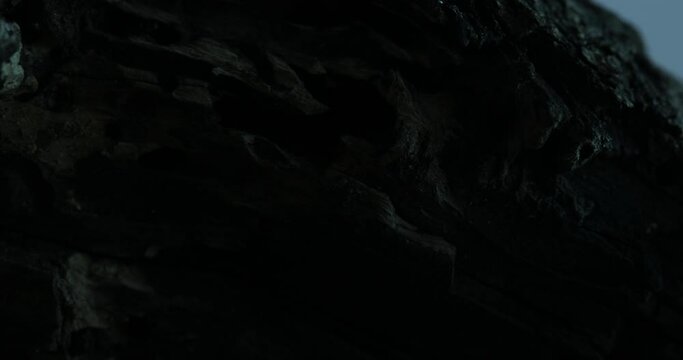 Nocturnal Wood Texture with Holes in the Moonlight. Close-up, shallow dof.