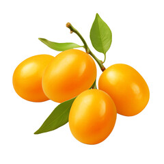 Kumquats isolated on transparent background