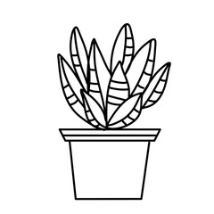 Potted cactus outline illustration