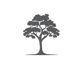 silhouette black and white isolated illustration, nature, forest, plant, oak, birch, savanna tree.