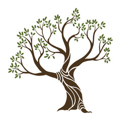 Obraz premium Olive trees with branches and leaves for design of packaging, label, logotype or banner. Natural organic stylized olive icon, premium quality sign. illustration