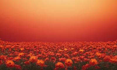 Deurstickers field of flowers © Ashish