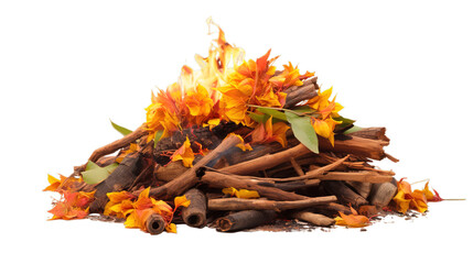 Holika Dahana isolated on transparent background, Generative ai.