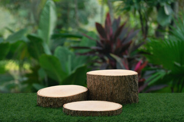 Wood podium table top floor in outdoors tropical garden forest blurred green leaf plant nature...