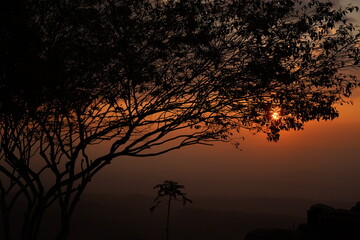 sunset in the forest