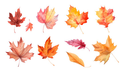 Fototapeta premium Set of autumn leaves isolated on a transparent background. Watercolor illustration. Clipart PNG