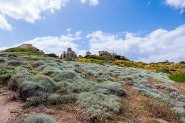 Fototapeta na wymiar Unusual Rock Formation near the Sea at Capo Testa Sardinia