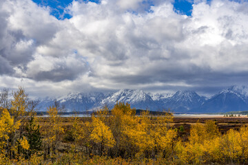Autumn in the Grand Tetons