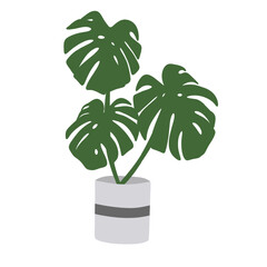 The monstera plant pot illustration is isolated on the white background
