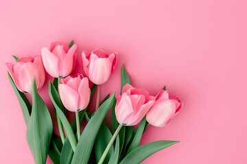 Beautiful Composition Spring Flowers. Bouquet of Pink Tulips Flowers on Pastel Pink Background. Valentine's Day, Easter, Birthday, Happy Women's Day, Mother's Day. Flat Lay, Top View, Copy Space.