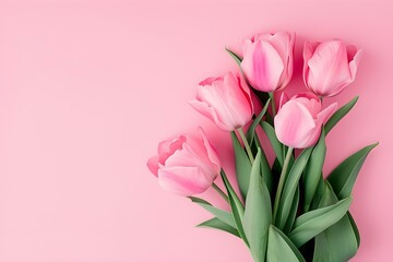 Beautiful Composition Spring Flowers. Bouquet of Pink Tulips Flowers on Pastel Pink Background. Valentine's Day, Easter, Birthday, Happy Women's Day, Mother's Day. Flat Lay, Top View, Copy Space.