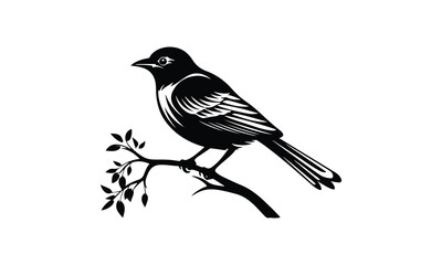 Fototapeta premium Vector silhouette birds on a white background