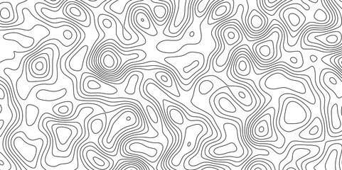Fototapeta premium abstract white wave paper curved reliefs background. Topography map pattern, Geographic curved, vector illustration. seamless textrue, vintage waves. Panorama view multicolor wave curve line.