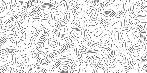 abstract white wave paper curved reliefs background. Topography map pattern, Geographic curved, vector illustration. seamless textrue, vintage waves. Panorama view multicolor wave curve line.