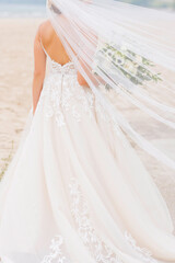 Fototapeta na wymiar Beach Wedding Bride with Back of Dress Details