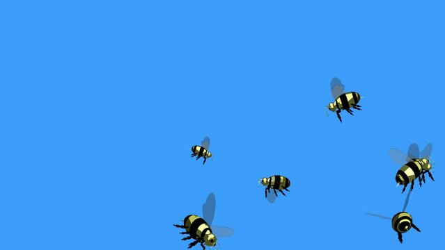 bees flying on white background