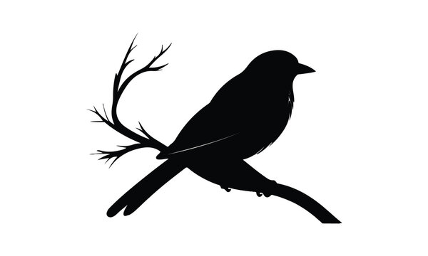 bird silhouette Vector elements for design