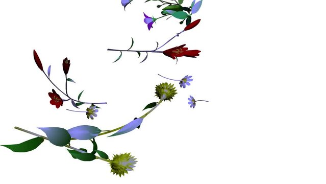flowers flying in the air animation
