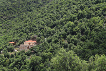 Fototapeta premium Lone House in the Forest