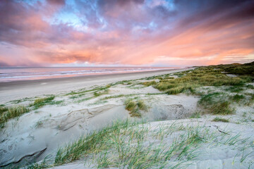 beautiful beach in summer at sunrise