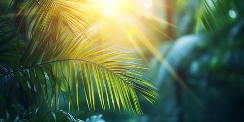 Fototapeten perfect palm tree in the sun © augenperspektive