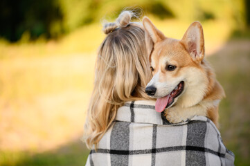 Happy woman hugging foster pet Smooth-haired Russian toy terrier. Love and affection between owner...