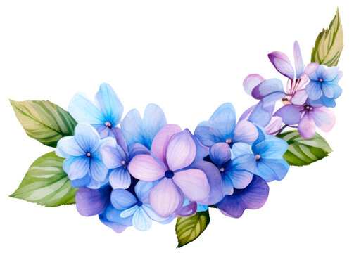 Beautiful bouquet of blue and purple  hydrangea 
 flowers