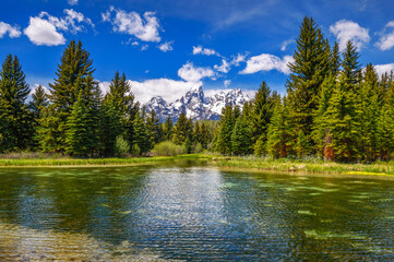 Schwabacher Landing with Snake River in Grand Teton National Park, Wyoming, USA.