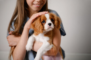 Positive girl sits on the floor, holds on her lap, strokes a Cavalier King Charles Spaniel puppy, close-up. Care.