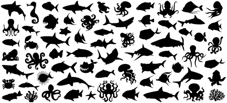 Sea animals silhouette collection. Fish, shark, octopus silhouette. Set of black sea animal silhouette icons. Black marine animals icons