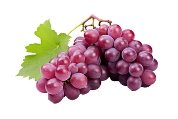 Fototapeta premium Luscious Bunch of Fresh Grapes Isolated on Transparent Background - High-Resolution PNG