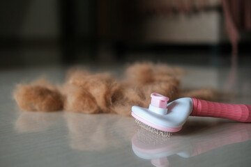 In the foreground is a ball of golden retriever hair and a pink dog grooming brush. It's shedding...