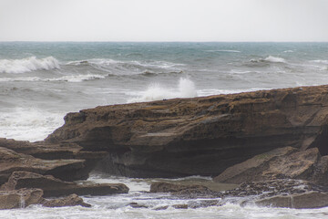 birds on truman stone track in new zealand on rainy day