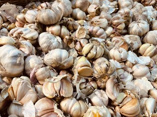 close up of garlic