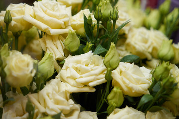 A bouquet of flowers in close-up