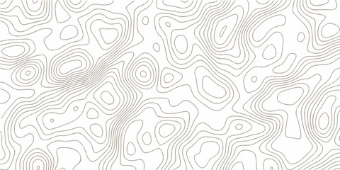 abstract White wave paper curved reliefs background .Panorama view gradient multicolor wave curve lines banner background design. Vector illustration. wave Line topography map contour background.	