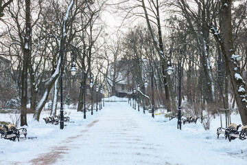 Trees, street lamps and pathway covered with snow in winter park