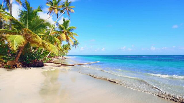 An easy walk along a wild Maldivian beach with palm trees on the ocean. Clear blue waves on white sand. Summer tropical day. The concept of travel and vacation on the sea coast.