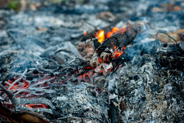 Close up of the pile of vines. After the burning of the log on blurred background.